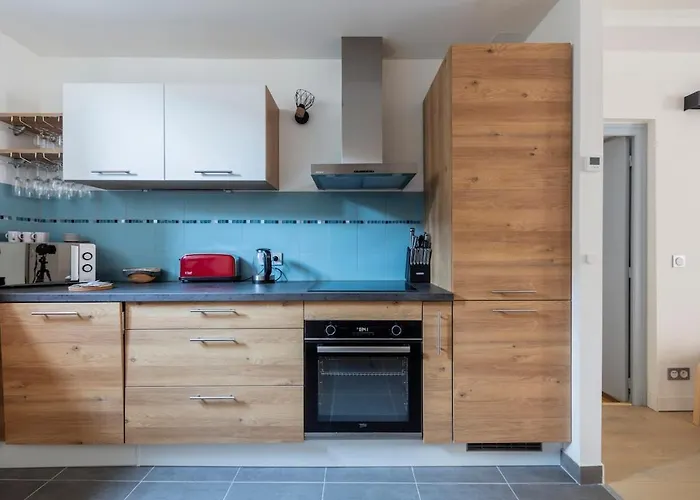 4-room Center - L'atmosphere Balneo 公寓 格勒诺布尔